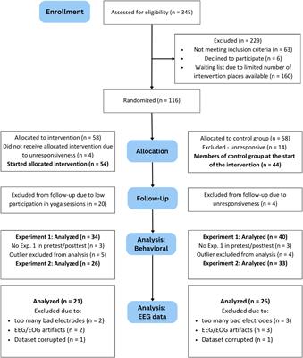 Testing the impact of hatha yoga on task switching: a randomized controlled trial